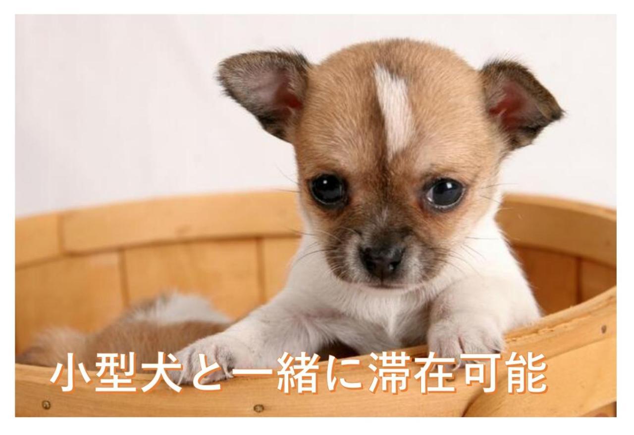 観光や仕事に便利ｻｰﾋﾞｽｱﾊﾟｰﾄﾒﾝﾄ札幌さくら2-2小型犬滞在可能 Daire Toyohira Dış mekan fotoğraf